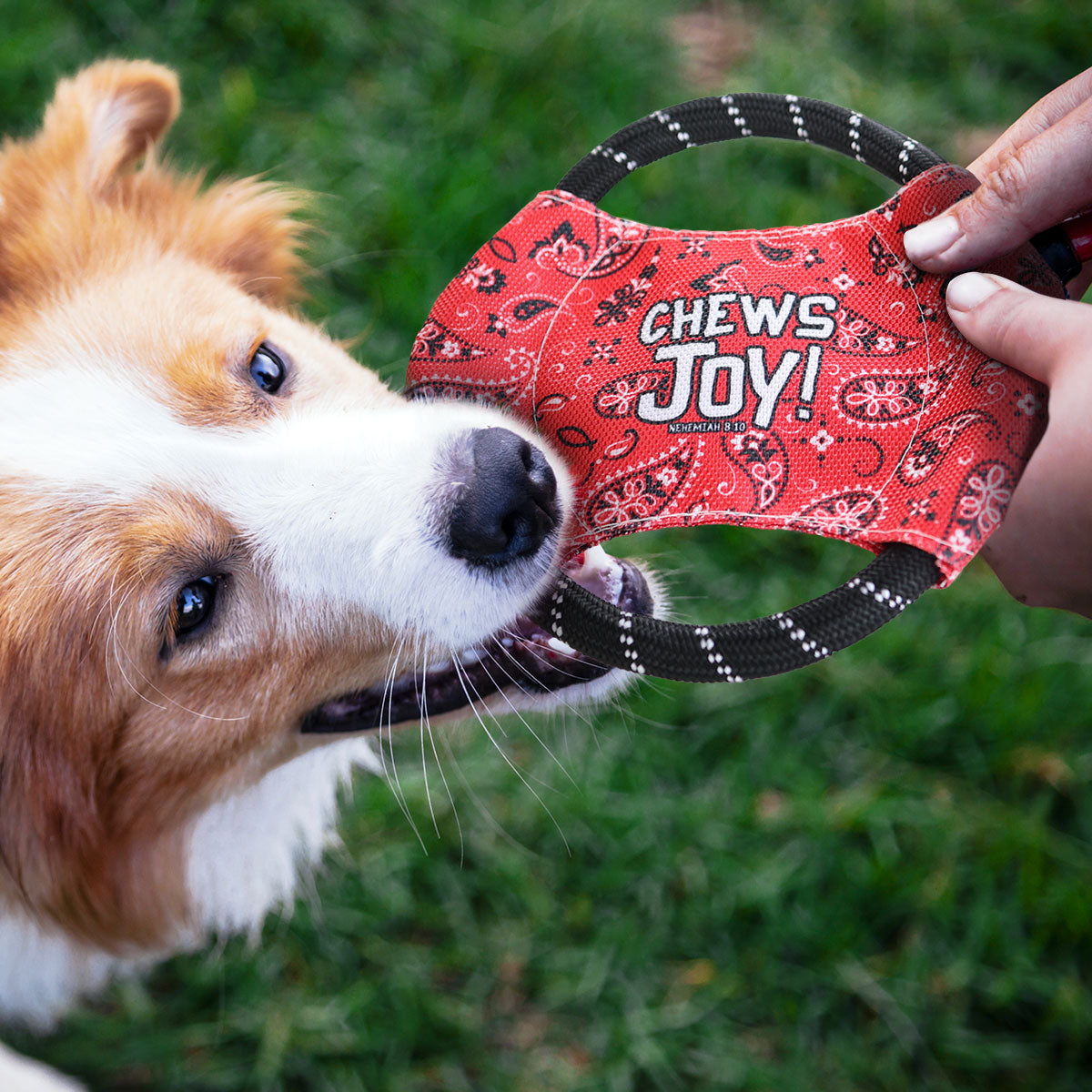 Paws & Pray Chews Joy Rope Disc